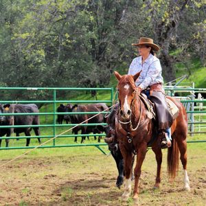 Meet your Posher, Carol